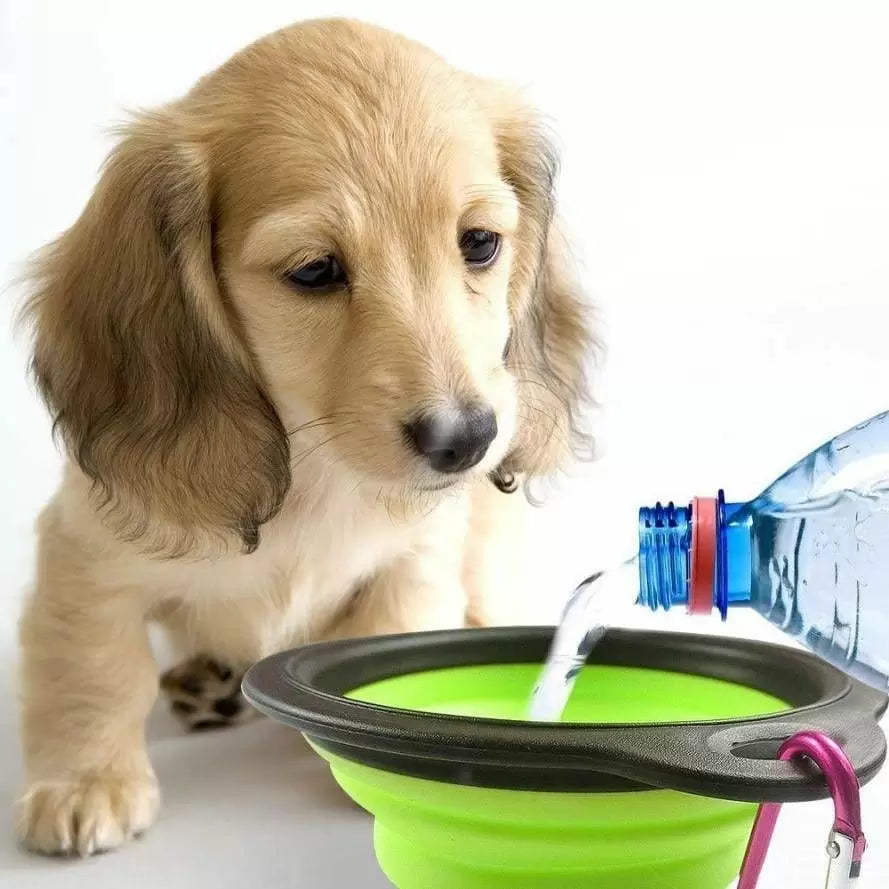 Silicone Collapsible Pet Bowls